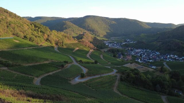 Aerial View of Green Vineyards Near Mayscho&szlig; in the Ahr Valley