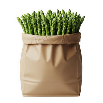 Fresh green asparagus bundle in kraft paper bag. Organic vegetable produce packaged for healthy cooking and meal prep.