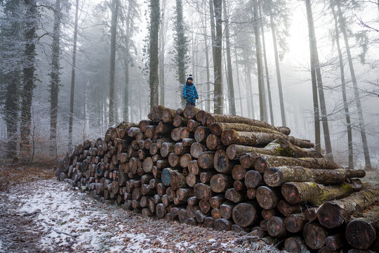Young child standing on a large pile of logs in winter