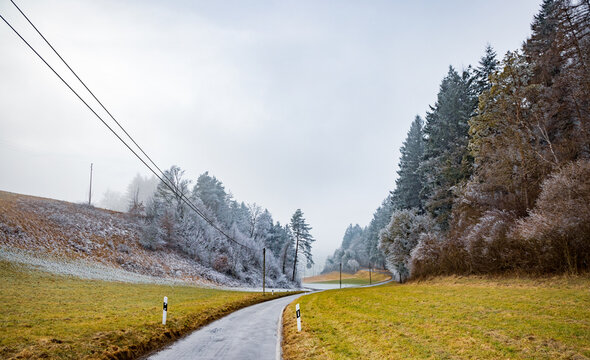Winding asphalt road through a frosty landscape with pine trees
