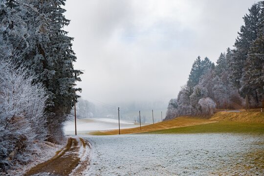Winter landscape with frosty trees and snow covered fields