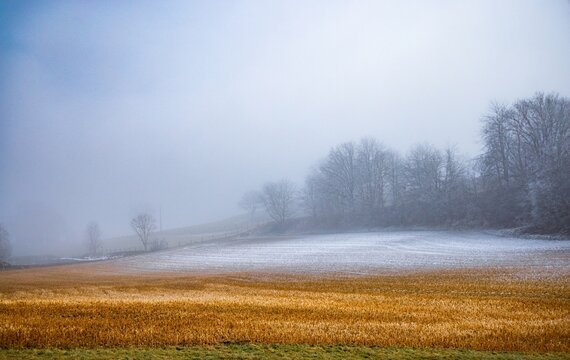 Misty winter landscape with bare trees and frosted fields