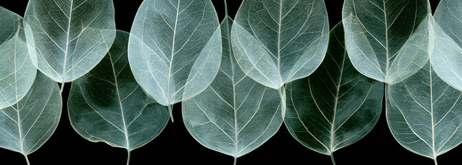Obraz premium Translucent leaf patterns on tiles
