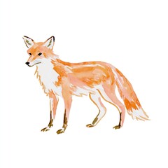 Fototapeta premium Watercolor fox illustration isolated on white background
