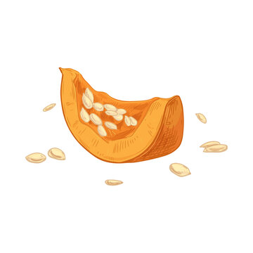 vector illustration of a pumpkin