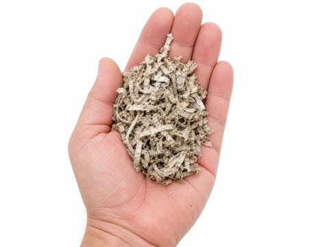 Hand holding recycled paper mulch made from shredded paper on a white background, concept of eco-friendly gardening, organic soil cover and sustainable recycling