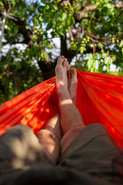 Relaxing in a Red Hammock Under Green Trees