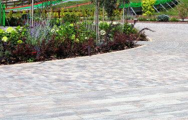 Fototapeta premium A wide paved pathway curves gently along a well-groomed flowerbed filled with colorful ornamental shrubs and flowers. Modern tile pavement and thoughtful landscape design create a cozy atmosphere for 