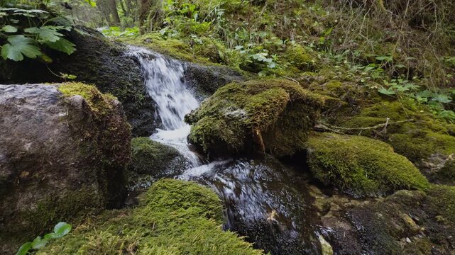Mountain stream flowing through limestone canyon in Radov&aacute; Dolina gorge, Low Tatras, Slovakia