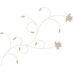Elegant floral swirl ornament for graphic design, minimalist botanical decoration isolated on transparent background, PNG © MuhammadUsman