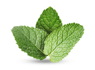 Green mint leaves on white background. Aromatic herb © New Africa