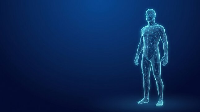 Digital Human Male Wireframe Model on Dark Blue Background for Science and Technology Concept