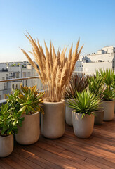 Obraz premium Modern rooftop terrace with pampas grass and various potted plants, urban living and outdoor design concept, the urban setting features apartment buildings in the background under a clear blue