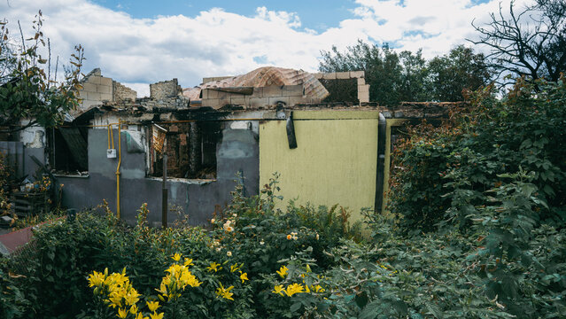 Damaged ruined residential home destroyed by shelling with blooming flowers in garden in foreground, consequences of armed conflict and destruction