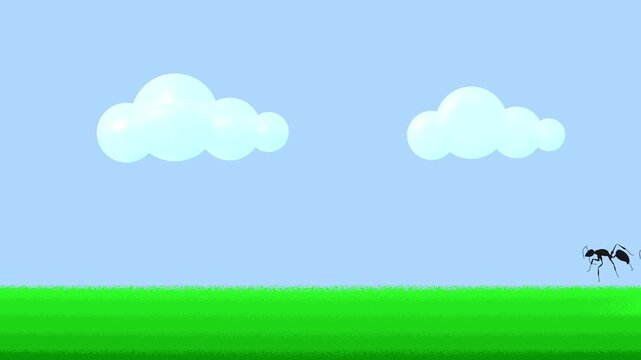 Moving Ant on green grass and blue sky motion graphicy