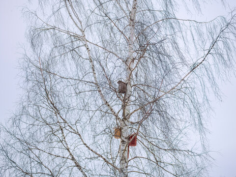 high up nailed bird houses