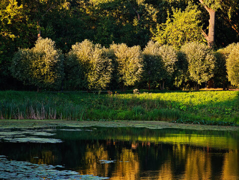 Dramatic park lake during sunset time landscape