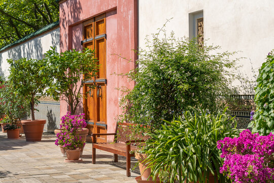 A weathered red wooden door stands framed by jasmine, citrus trees and blooming bougainvillea in terracotta pots. The sunny stone courtyard creates a warm inviting garden entrance.