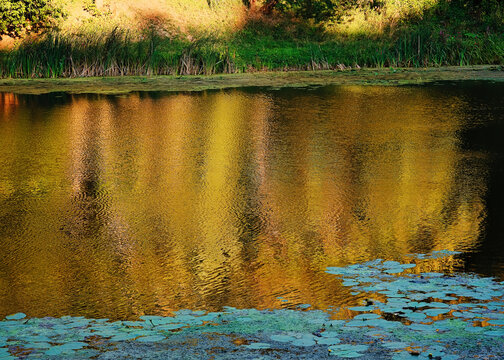 City pond water surface landscape background