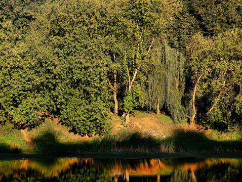 Reflections of summer park in the lake surface backdrop