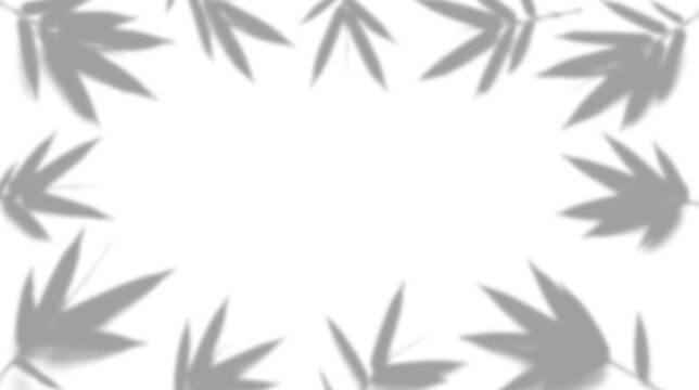 Shadow of bamboo leaves isolated on transparent background