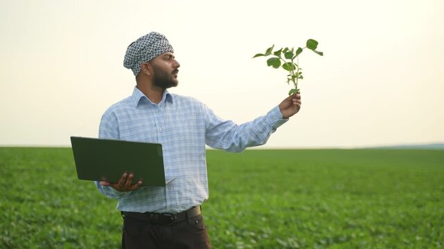 Indian farmer analyzing soybean plant using laptop technology
