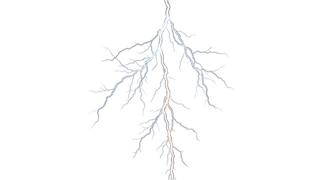 Bright electrical discharge with branching lightning strikes against a white background