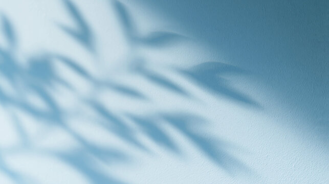 Soft Leaf Shadow on Light Blue Textured Wall