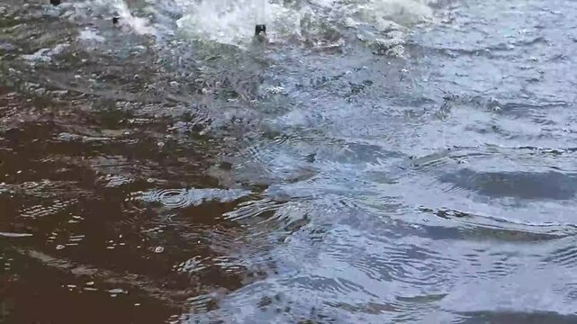 fuente, acu&aacute;tico, r&iacute;o, naturaleza, arroyo, cascada, de invierno, gemas, verde, roca, catarro, paisaje, nieve, con textura, primavera, hielo, olas, mar, fresco, bajar, blanco, azul, llover, lago, mojad