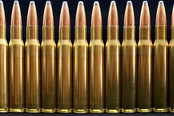 Rifle bullets of .30-06 caliper © Douglas
