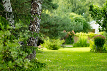 Obraz premium Lush landscaped garden with green lawn, mature trees and ornamental shrubs around a country home. Peaceful summer backyard creates a well maintained natural outdoor living space.