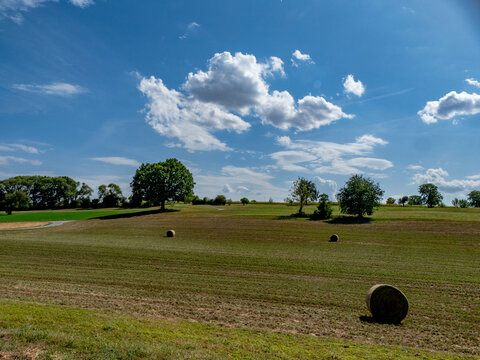Gr0&szlig;e Linde im Sommer