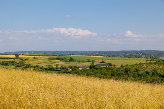 Summer landscape, The terrain of hilly countryside, A hamlet on hillside with green grass meadow and tree, Eys is a village in the municipality of Gulpen-Wittem and region in Zuid-Limburg, Netherlands