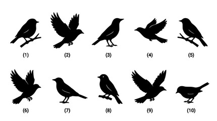 Fototapeta premium Collection of Ten Black Silhouette Birds in Flight Forming a Flowing Pattern Across a White Background