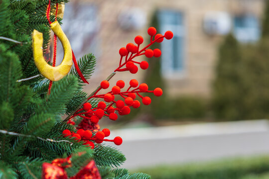 Festive christmas decoration with red berries and green fir branches