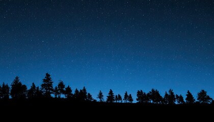 Fototapeta premium Silhouetted evergreen trees against a deep blue, star-filled night sky