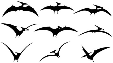 Pterodactyl Silhouettes, Flying Dinosaur Icons, Prehistoric Reptile Vector Graphics, Ancient Creature Set © Saidul