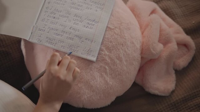 Top view shows hands moving pen across notebook on pink plush pillow and blanket, creating quiet personal journal moment with soft warm bedroom light and relaxed mood, with notebook, writing, journal