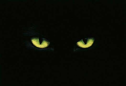 Intense, luminous green eyes peer from absolute darkness