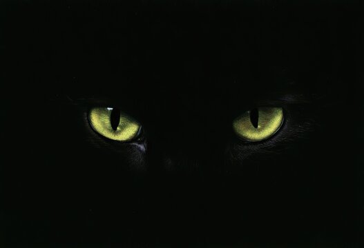 Piercing, glowing green feline eyes stare intensely from deep darkness