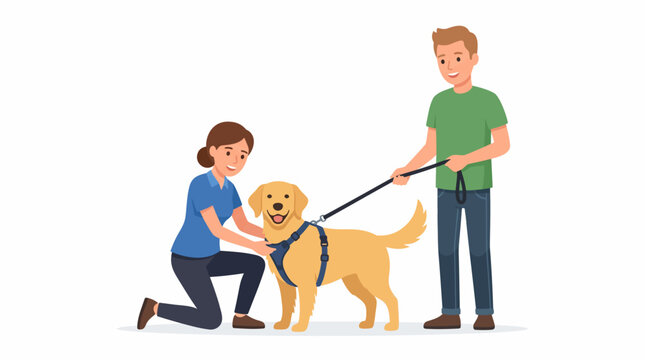 Dog Training: Man Fitting Harness on Golden Retriever for Walks