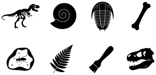 Fossil Icons Set: Dinosaur Skeleton, Ammonite, Trilobite, Bone, Insect Amber, Fern, Brush, T-Rex Skull © Tanvir