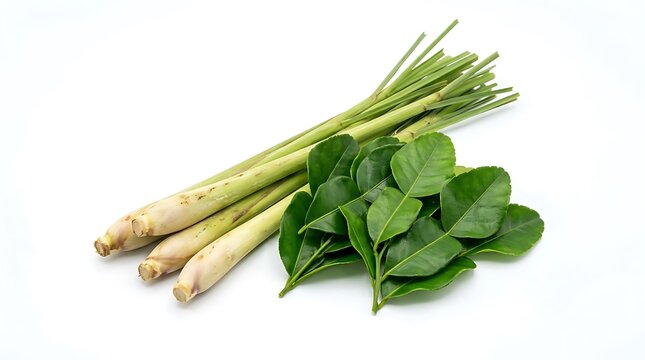 Lemongrass and Kaffir Lime Leaves