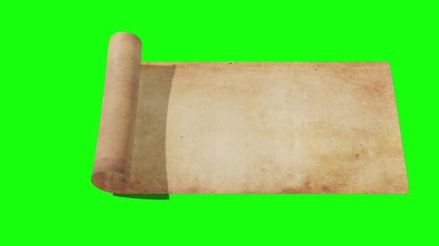 Aged vintage parchment paper scroll unfurling on green screen antique document texture blank background antique document texture