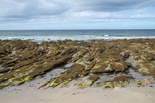 Rugged rocky shore at low tide in Gardenstown Aberdeenshire Scotland under a cloudy sky during the early afternoon light