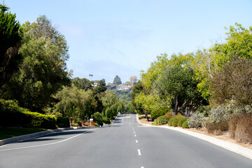 Fototapeta premium Scenic Palos Verdes road winding through lush green hills in Los Angeles
