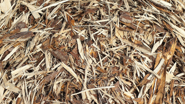 The photo shows a close-up of wood chips