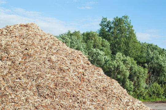 The photo shows wood chips against a backdrop of blue sky and green trees