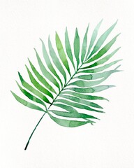 watercolor tropical palm leaves and monstera leaf isolated on white background © Aquarius Creative