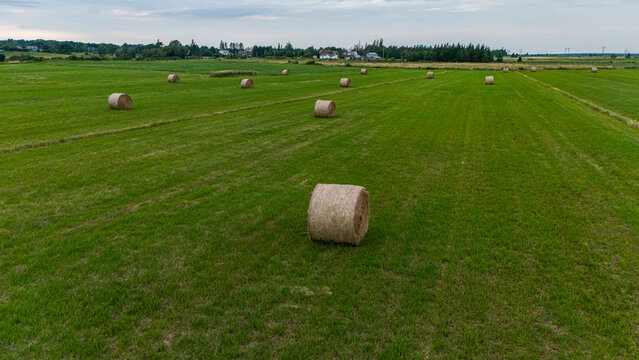 Hay Bale